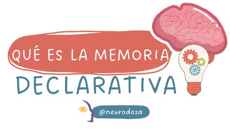 Qu Es La Memoria Declarativa Neurodoza