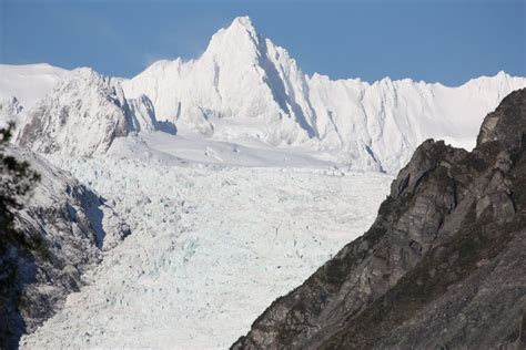 Fox Glacier Half Day Walking Nature Tour With Local Guide GetYourGuide