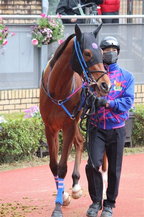 2024年3月24日中京2r「3歳未勝利」馬編⑦～⑫番 まきろんの「多趣味でゴメンな～」ブログ