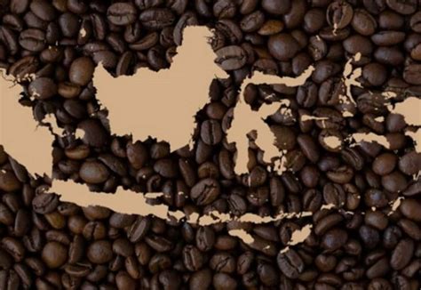 Indonesia Jadi Negara Penghasil Kopi Terbesar Ke 3 Di Dunia Hilirisasi