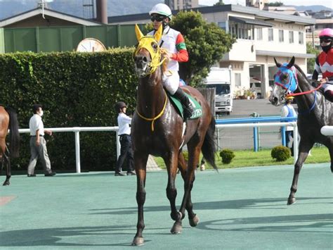 【京王杯2歳s出走馬・騎手確定】ロンドンプラン＆松山弘平騎手、エナジ チャイム＆cルメ ル騎手など18頭 ライブドアニュース