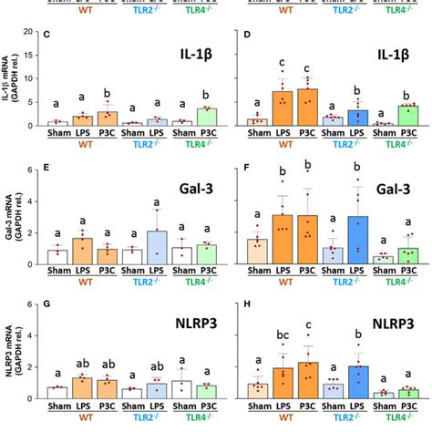 Figure Gene Expression Of Inflammatory Markers In The Hypothalamus Of