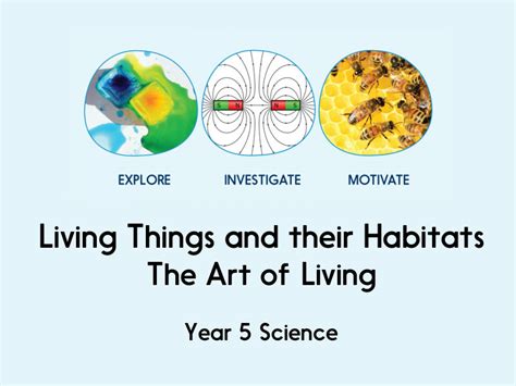 Living Things And Their Habitats The Art Of Living Year 5