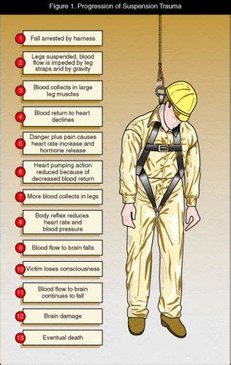 How To Properly Use A Roof Safety Harness Artofit