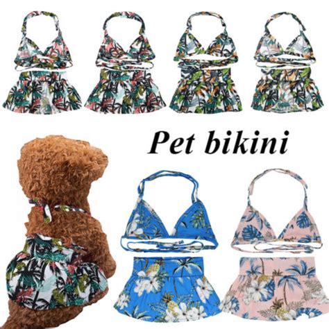 Hund Katze Bikini Strand Badeanzug Welpen Badekleid Set Haustier