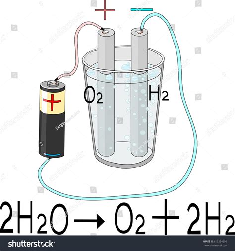 Electrolysis Of Water Royalty Free Stock Vector 613354595