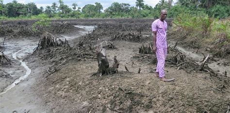 Nigeria Shell Must Clean Up Devastating Oil Spills In The Niger Delta