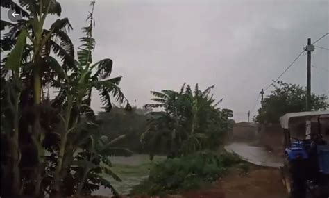 Monsoon Revival Heavy Rain Hits Six Bihar Districts Patna Press