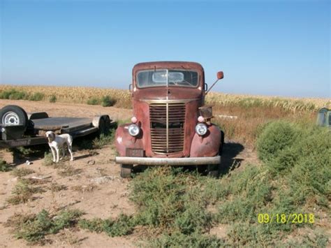 1940 Chevrolet Cab Over Engine Truck Rare For Sale Chevrolet 1940