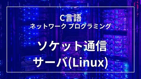 C言語で学ぶソケット通信：サーバー編 Innovationcode Lab