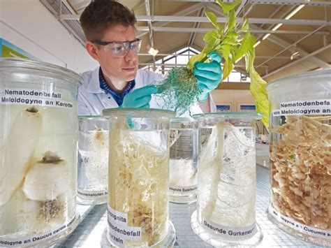 Germanys Chemicals Industry Innovation Challenges