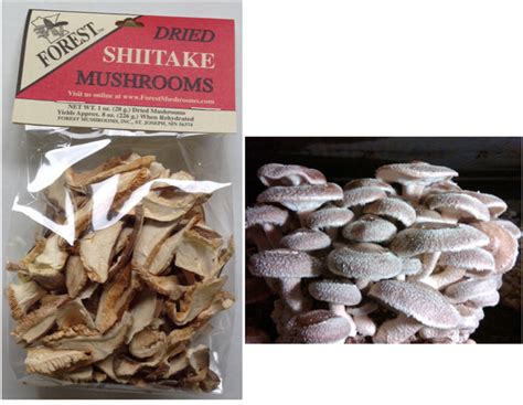 Dried Shiitake Mushrooms, sliced – Forest Mushrooms