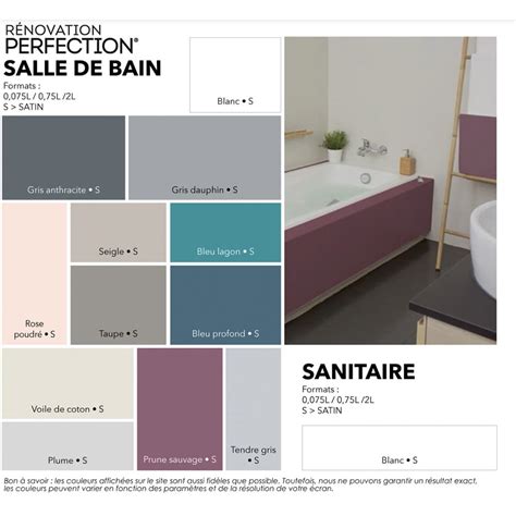 Peinture Salle de Bain V33 Rénovation Perfection Gris Anthracite pas cher