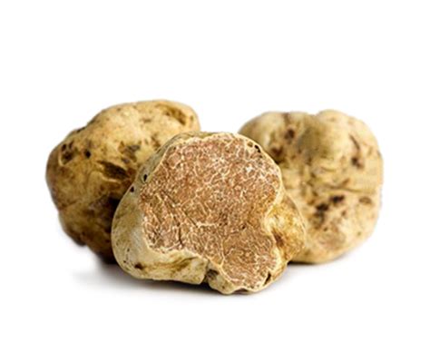 Tartufo Bianco Marcelli Tartufi Apri Le Porte Dell Eccellenza