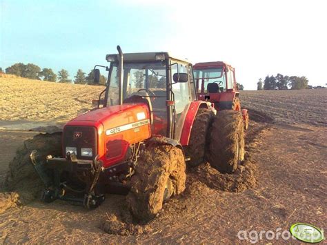 Zdjęcie ciagnik MF 4270 i MTZ #326315 - Galeria rolnicza agrofoto