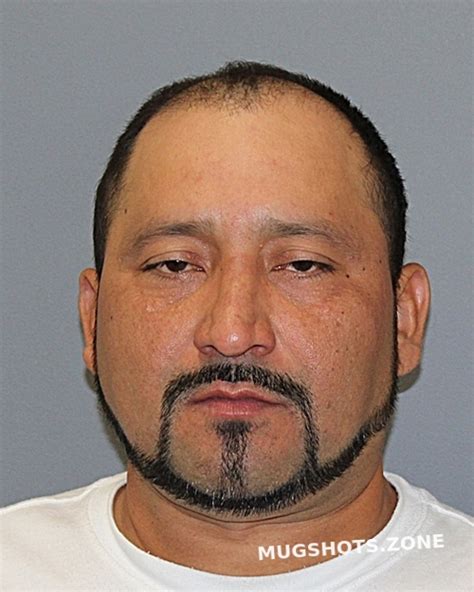 ROGUE CARLOS MIGUEL 29092 09 09 2023 Cooke County Mugshots Zone