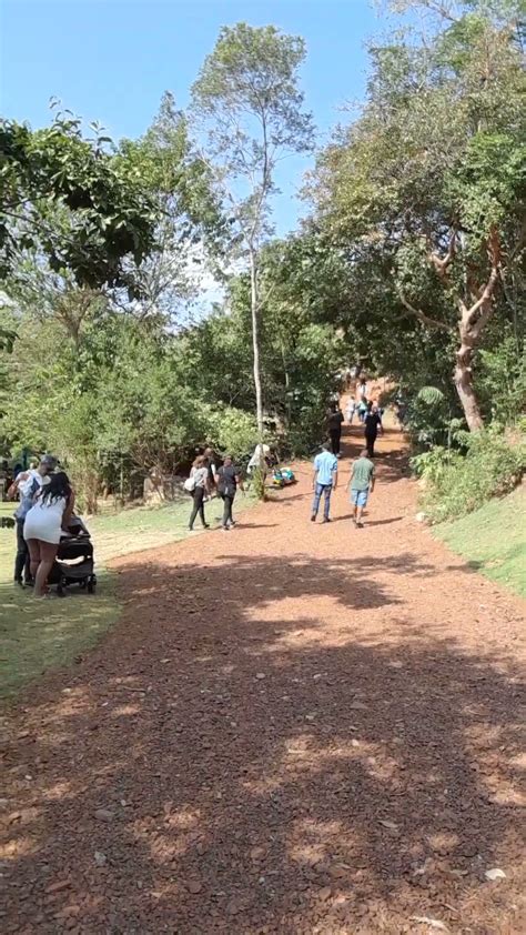 Segunda Feira Inaugura O Da Etapa Do Parque Natural