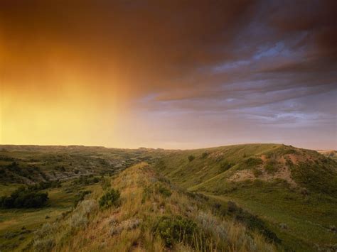 Grasslands threats and solutions, facts and information | National