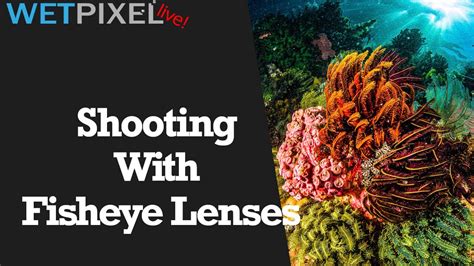 How To Use Fisheye Lenses Underwater Youtube