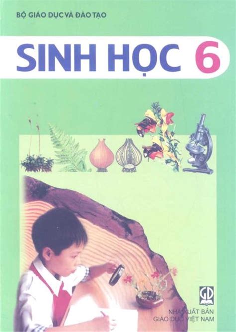 S Ch Gi O Khoa Ti Ng Anh L P Th Vi N Pdf