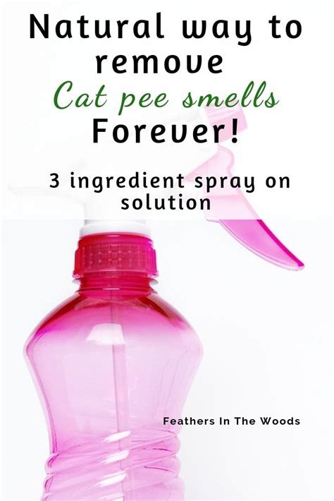 Remove cat pee smell permanently – Artofit