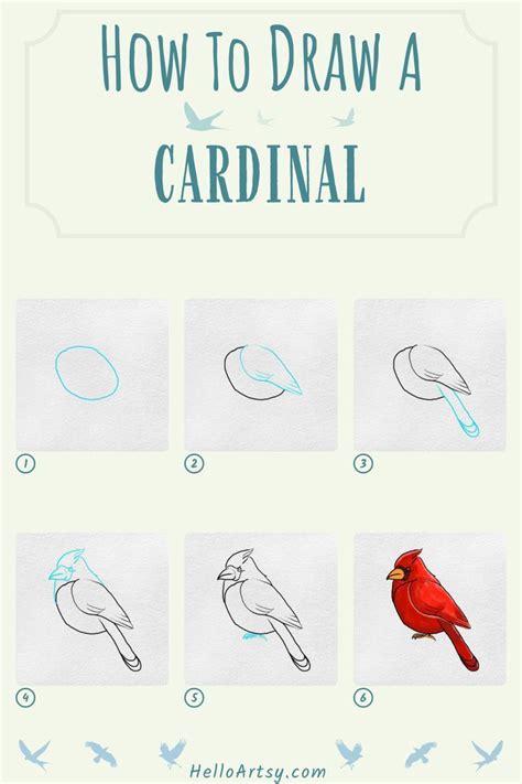 How To Draw A Cardinal Artofit