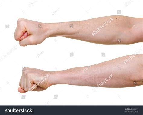 fists  side angles isolated stock photo