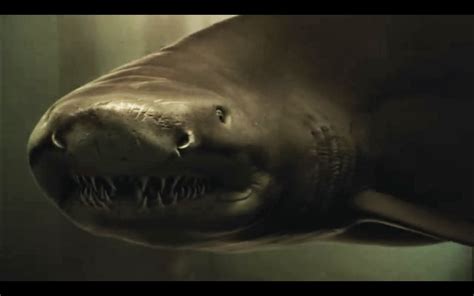 Horror-tober Fest: Shark Night