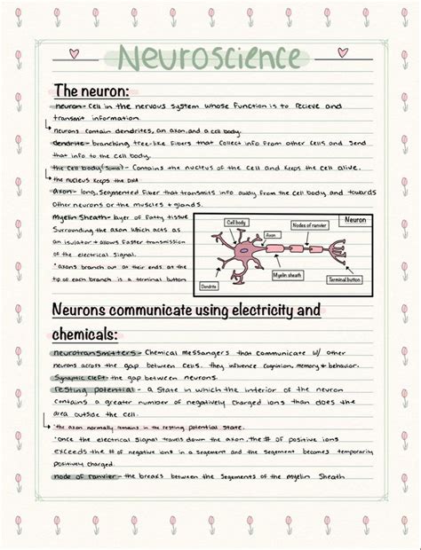 Psychology Worksheet Aesthetic