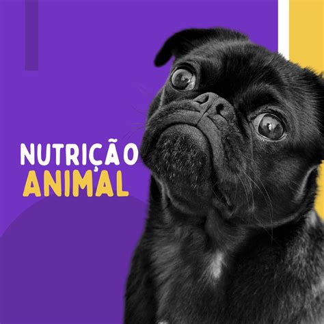 Resumos Nutrição Veterinária Mentora Inês Santos Hotmart