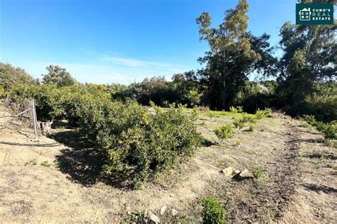 Terreno En Venta En Camino De La Dehesa Baja El Cigarral Dehesa