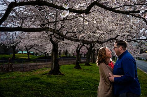 Hains Point And East Potomac Park Dc Cherry Blossom Engagement Session