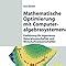 Mathematische Optimierung Mit Computeralgebrasystemen Einf Hrung F R