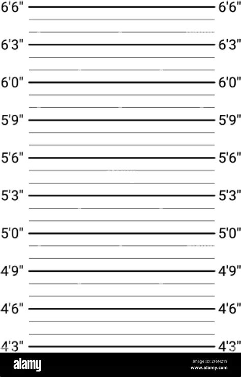 Mugshot Background Police Lineup Wall With An Imperial Units Scale