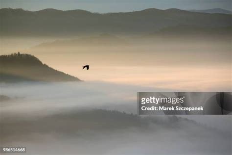 Lake Raven Photos And Premium High Res Pictures Getty Images