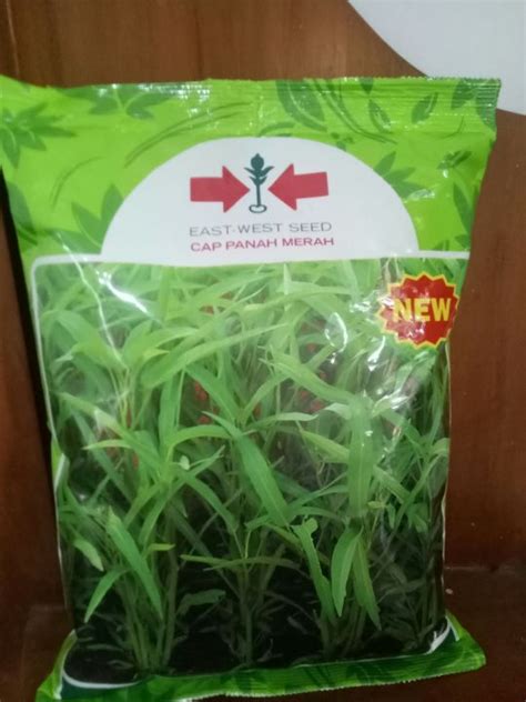 Benih Kangkung Serimpi Cap Panah Merah Isi Kg Lazada Indonesia