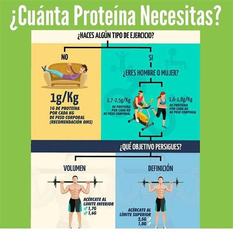 Cuanta Proteina Necesitas