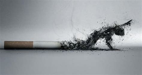 Incredibly Creative Anti Smoking Advertisements Inspirationfeed