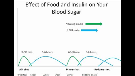 Novolog Sliding Scale Insulin Chart Dosage A Visual Reference Of