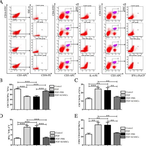 Expression Of Il 4 And Ifn γ Cytokines In Spleen And Unk Cell Numbers Download Scientific