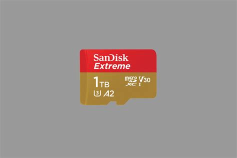 SanDisk Launches Fastest 1TB MicroSD Card Yet at 165MB Per Second | Digital Trends