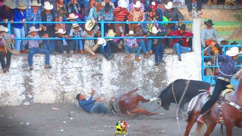 El Aguacatero El Mejor Toro De Michoacan Es De Rancho El Gorgojo En San