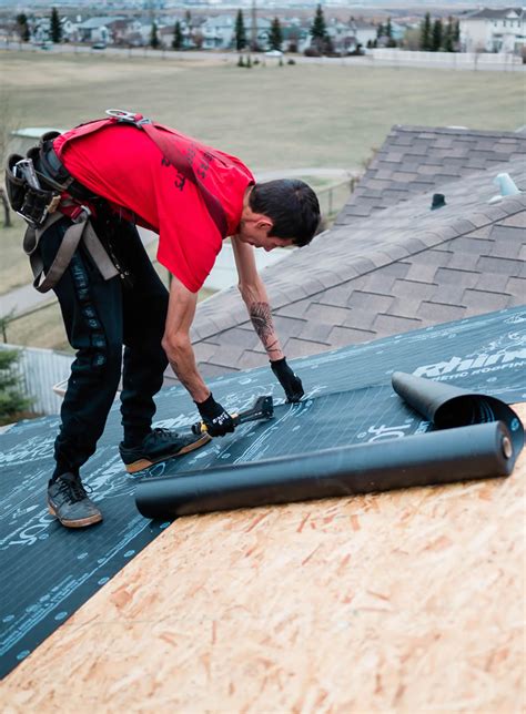 Top Questions To Ask A Roofer Advanced Level Roofing