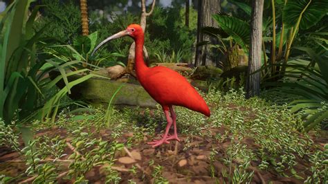 18 Scarlet Ibis New Species At Planet Zoo Nexus Mods And Community