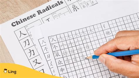 Traditional Chinese Alphabet A Z Infoupdate Org