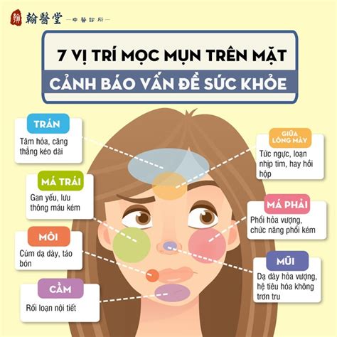 7 vị trí mọc mụn trên mặt cảnh báo gan yếu phổi kém tiêu hóa không