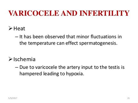 Testicular Varicocele And Its Effects On Male Infertility