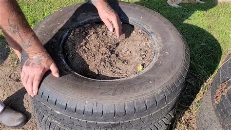 Can You Grow Potatoes In Tires Let S Find Out Youtube