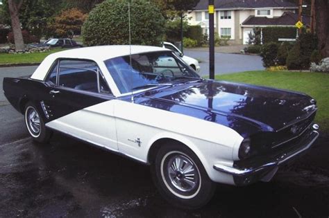 1966 Shelby Gt350 Mustang Ultimate In Depth Guide