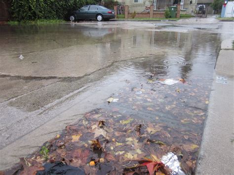 Clogged Storm Drain